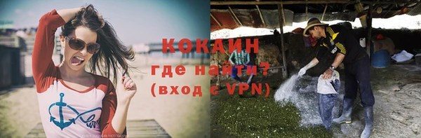 прущие крисы Верея