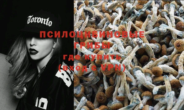 гидропоника Бородино